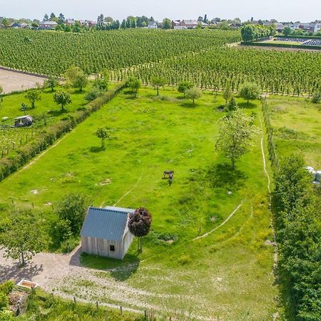 Unique Hideaway, Holiday House With Large Garden Kortenaken ภายนอก รูปภาพ