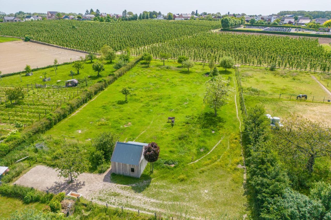 Unique Hideaway, Holiday House With Large Garden Kortenaken ภายนอก รูปภาพ